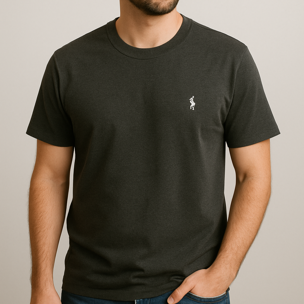 KIT RALPH L. CAMISETAS [COMPRA 2 LLÉVATE 5] + RELOJ